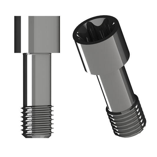 Direct to Abutment Prosthetic Screws