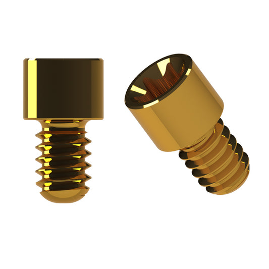 Prosthetic Screws