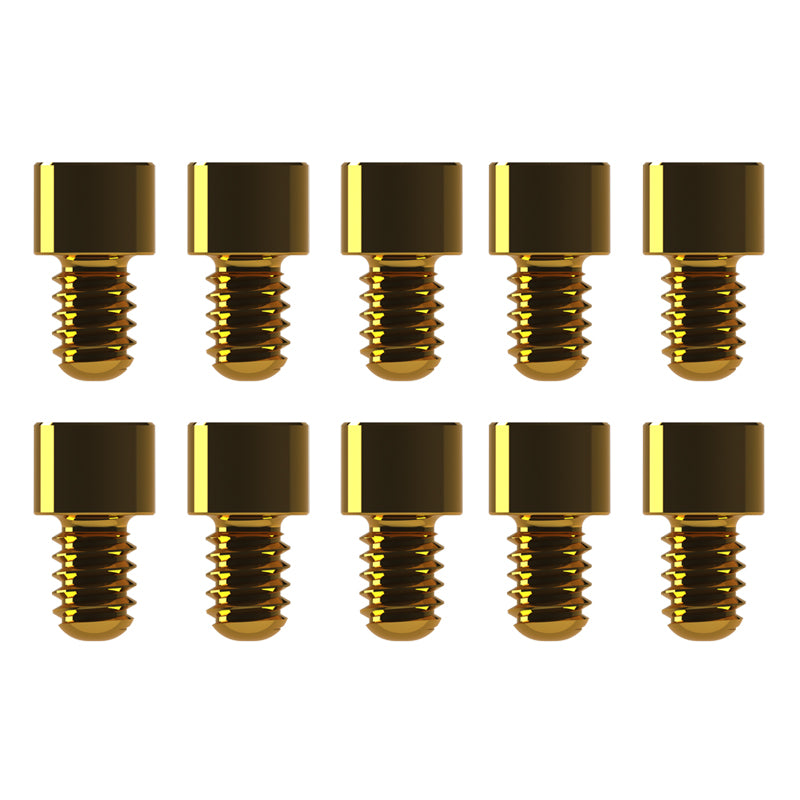 Prosthetic Screws
